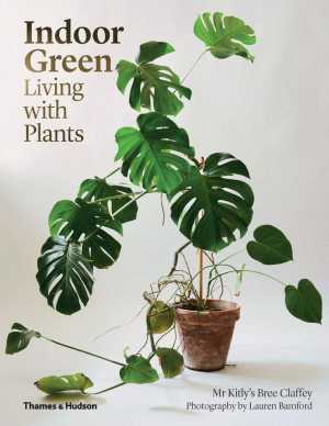 INDOOR GREEN - LIVING WITH PLANTS